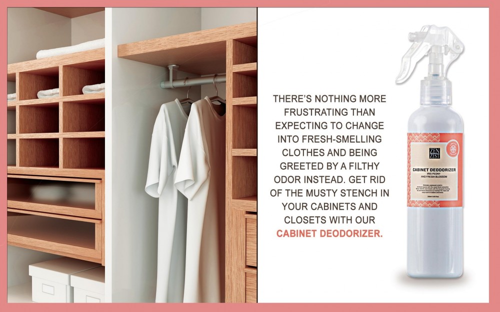 zz-cabinetspray